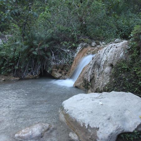 Perfect Stayz Premium Forest Valley Near Waterfall Ришикеш Экстерьер фото