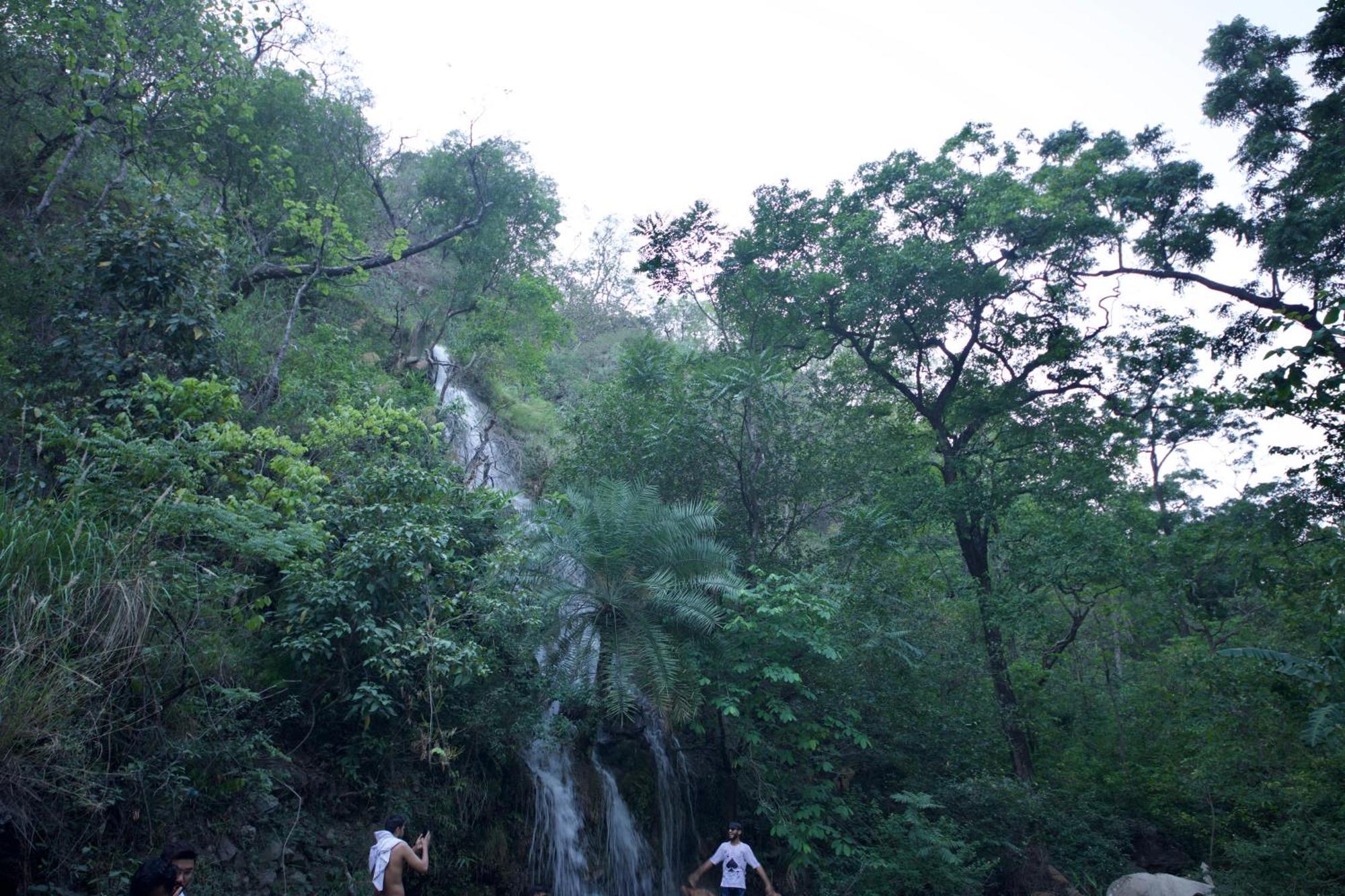 Perfect Stayz Premium Forest Valley Near Waterfall Ришикеш Экстерьер фото